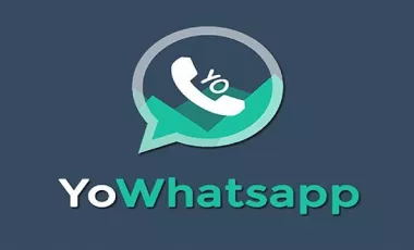 یو واتساپ چیست؟ | آموزش آپدیت یو واتساپ