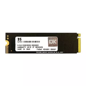 اس اس دی B5 Series اینترنال 256 گیگابایت اف دی کا M.2