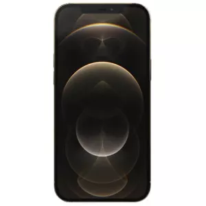 گوشی موبایل آیفون 12 پرو مکس ظرفیت 256 گیگابایت